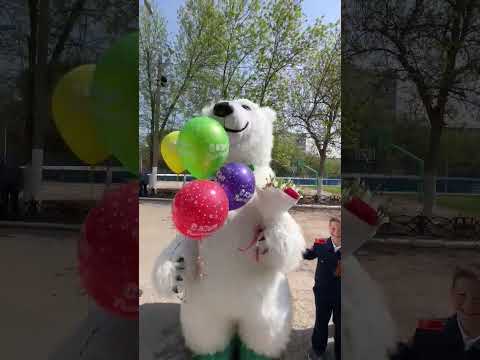 как вам такой кадет!? 🥳 Мишаня в строю! #белыймишка #белыймедведь #ростоваякукла #shorts #кадетство