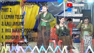 CAMPURSARI ALESHA MUSIK || NGUNDUH MANTU PART 2