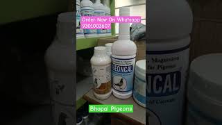 New Packing Of Digestoboost Available #pigeon #pigeonpigeon #kabootar #birds