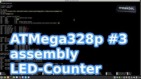 Assembly Atmega328P #3 LED-Counter