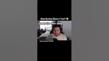 Was Burrito Bison r*cist? I have to know #foryoupage #viralvideo #funny #gaming #flashgames #memes