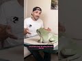 Ếch kẹo cao su đáng yêu và chú ếch cây siêu ham ăn 🐸 #tangtuvien #shorts