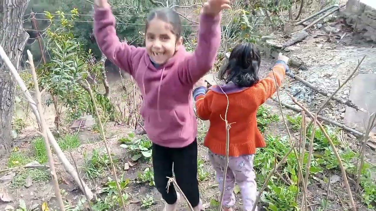 हमारे मटर के खेत में इतने सारे मटर