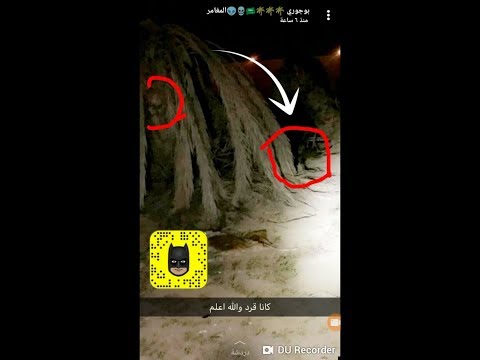 جني يرد على ابو جوري ويعطيه اشاره