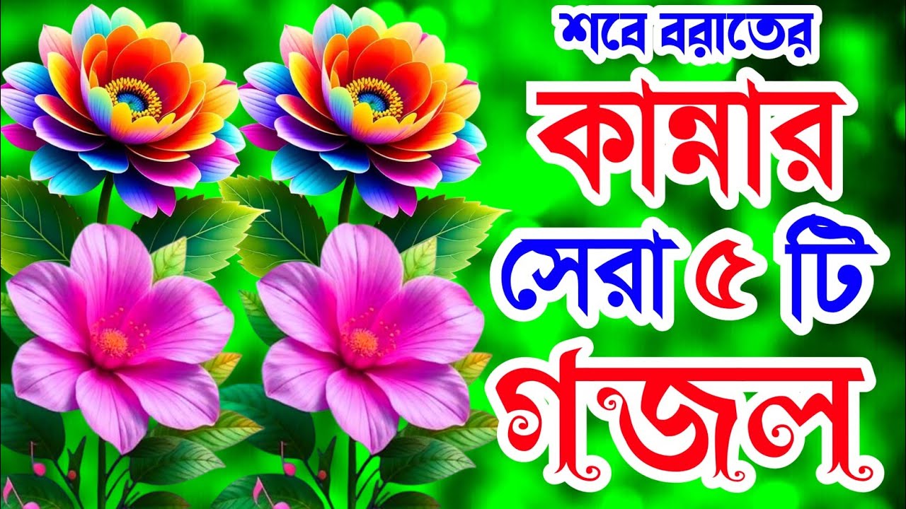 খুবই দুঃখের শবে বরাতের সেরা ৫টি গজল। শবে বরাত আসলো আবার খুশির জোয়ার লইয়া গজল Trending Gojol 