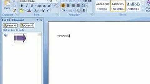 Word 2007 - Using The Clipboard Panel