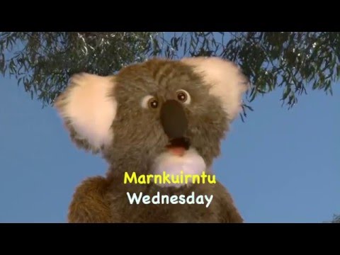 Ep 9 Weekdays in Kaurna