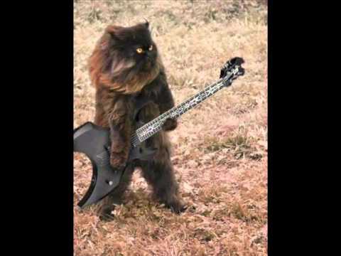lynyrd skynyrd t for texas lynyrd skynyrd t for texas