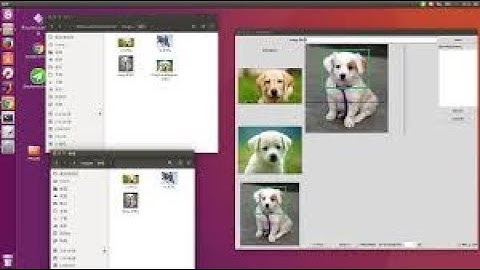 fix errors and  install BBox Label Tool in linux mint and ubantu