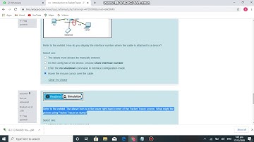the answer of cisco packet tracer quiz1