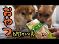 おやつ開封の儀【生配信】