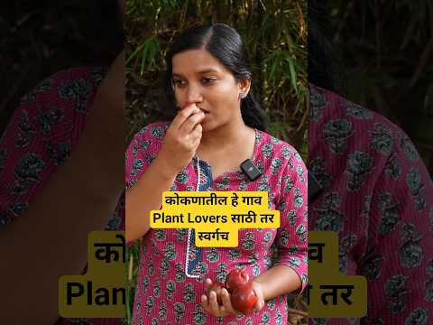 कोकणातील नर्सरीचे गाव #kokan #plants #gardening #travel