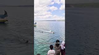 Nyalinya Gak Kaleng-Kaleng Lomba Renang Laut Smp Se-Kecamatan