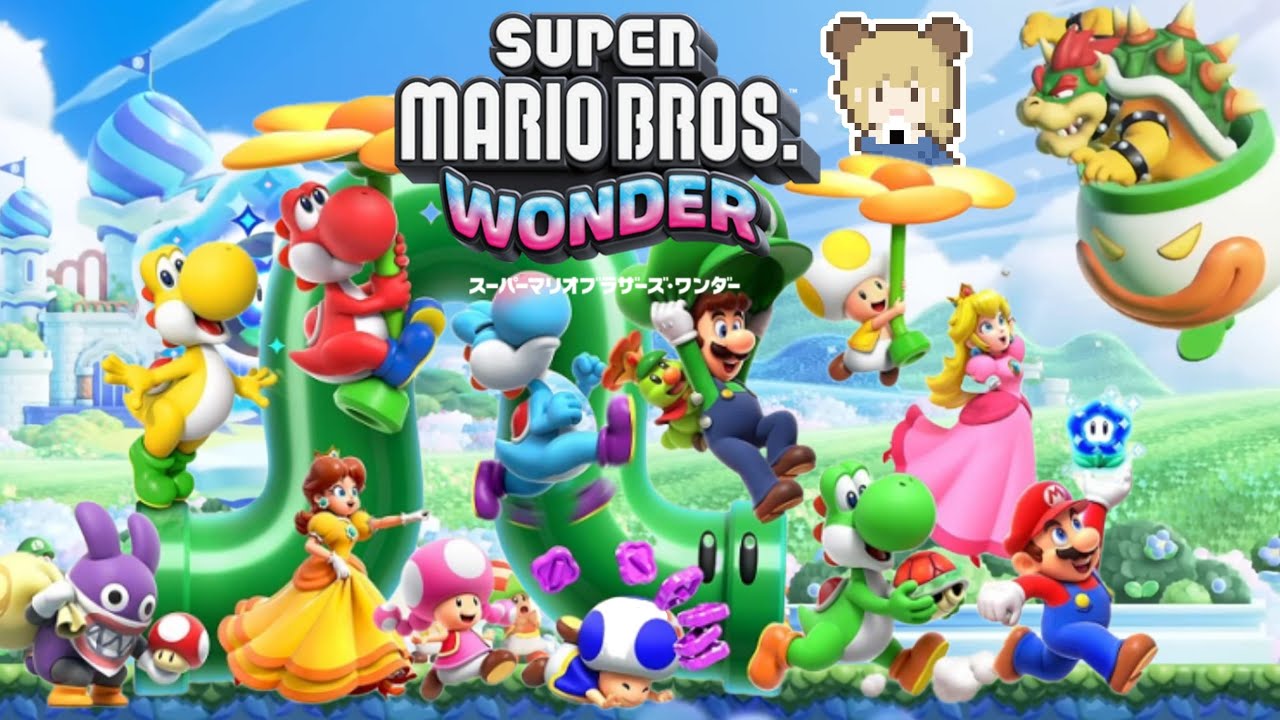スーパーマリオワンダー　ターボです他の方のご購入はご遠慮ください スーパーマリオワンダー ターボです他の方のご購入はご遠慮