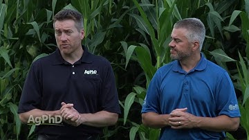 Yield Maps #961 (Air Date 9-4-16)
