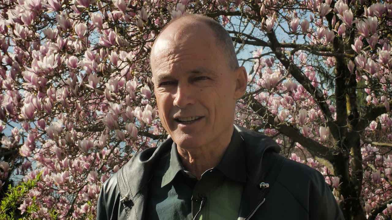 Shifting paradigms to solve climate change | Bertrand Piccard | TEDxKiteInsights