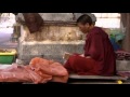 The buddha  pbs documentary  part 2