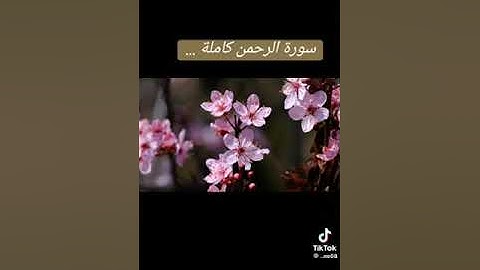 سوره الرحمن بصوت الشيخ عبدالعزيز سحيم #دويتو #تلاوة_خاشعة