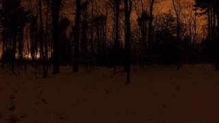 Harvard Forest Night Sky (360 spherical)