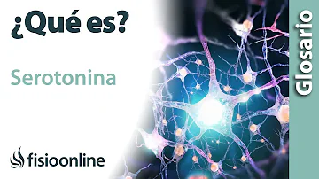 ¿En qué parte del cuerpo se produce la serotonina?