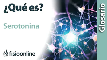 ¿Qué órgano es responsable de la serotonina?