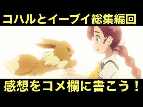 【アニポケ】コハルとイーブイの総集編回への感想をコメ欄に書いてみんなで語り合うだけの動画
