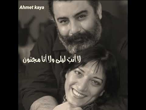  احمد كايا لا انتي ليلي ولا انا مجنون
