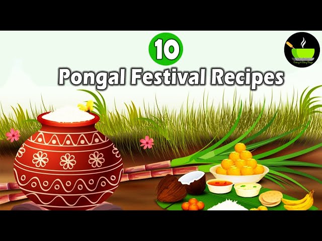 10 Pongal Festival Recipes | Best Pongal Recipes | Thai Pongal Recipes | Ven Pongal | Pongal Recipes | She Cooks