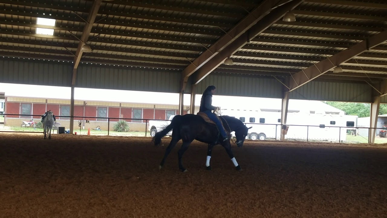 Peyton Ranch Horse/ Lead Change YouTube