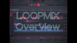 A quick look at Audiomodern's Loopmix screenshot 5