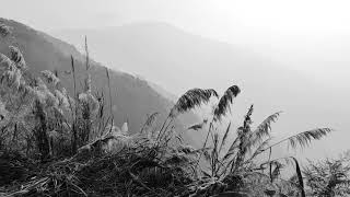 Lost in Extremities | Music: The return by Mark Orton Wealth