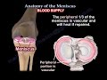 Anatomy Of The Meniscus - Everything You Need To Know - Dr. Nabil Ebraheim