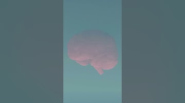 Aula de inglês: Cognitive and meta-cognitive strategies for English Language Learners