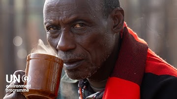 A restoration blueprint for nine countries, built from the ground up