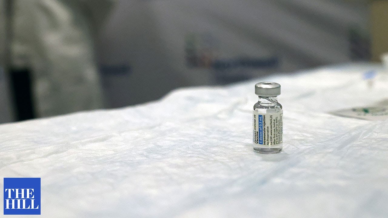 Execs from troubled vaccine maker face House grilling over ruined doses