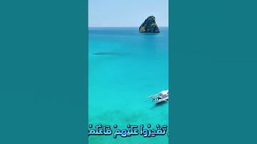 سورة المائدة و.كا..نك تسمعها لأو..ل مر.ة ❤️.💗.💛💞.💝بصوت الشيخ حمزة مد.بو.ح 🌹.💚..💘.💕.💓