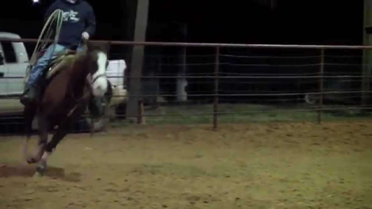 Team Roping Horse For Sale BUZZ YouTube