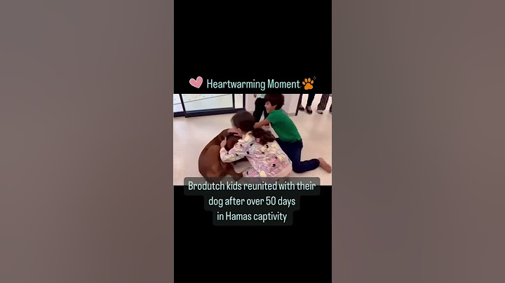 ❤️ HEARTWARMING MOMENT: Israeli Children's Heartwarming Reunion to Beloved Family Dog 🐾