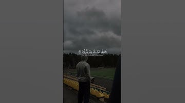 ولقد نعلم أنك يضيق صدرك بما يقولون  تلاوة خاشعة للقارئ عبدالرحمن مسعد 🤍 #قران #عبدالرحمن_مسعد #quran