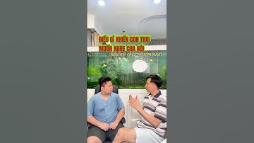 Đừng để sai lầm này hủy hoại cơ hội và cuộc đời của con, hay nói sớm #hànhtrìnhlàmcha