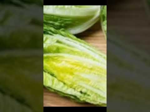 فوائد الخس الطبيه واضراره وهل يمكن تناوله لمرضى السكر الفيديو كامل على قناتى
