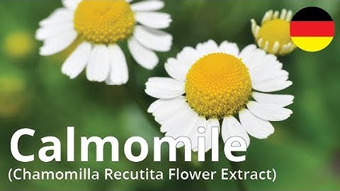 Chamomilla recutita matricaria flower extract là gì năm 2024