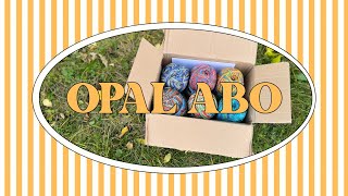 картинка: OPAL ABO Сентябрь 2025 / Чуть не осталась без пряжи / Носочное видео