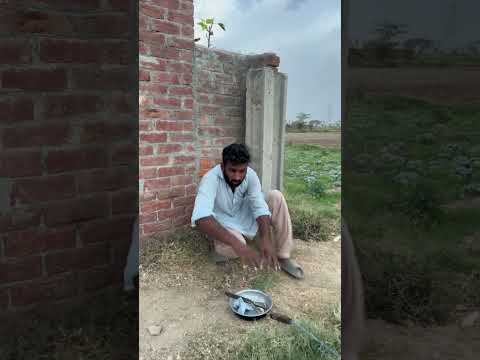#f #comedy #lifeisbutadream #funnycricket #funny #whowillbemylifepartnerta #funnysports #village#$M