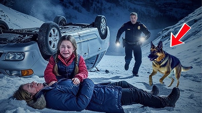 Officer and His K9 Discovered a Car Crash in a Blizzard —What They Found Next Will Move You to Tears - YouTube