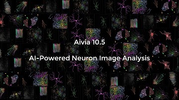 Aivia 10.5 [Launch] - AI-powered autonomous neuron analysis