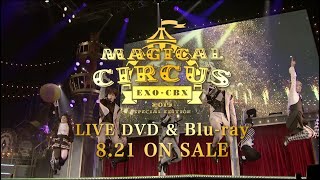 EXO-CBX / 「EXO-CBX “MAGICAL CIRCUS” 2019 -Special Edition-」SPOT（30秒Ver）