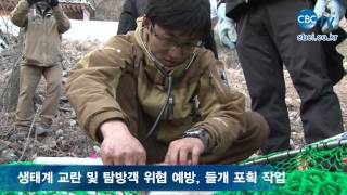 [CBC TV] 생태계 교란 및 탐방객 위협 예방,들개 포획 현장
