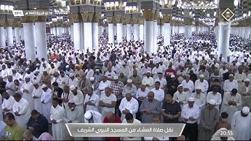تلاوة عشائية من روائع الحرم النبوي، بصوت القارئ الشيخ - عبد المحسن القاسم _ من سورة فصلت.