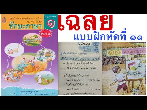 เฉลยทักษะภาษา ป.1 บทที่ 11 ช้างน้อยน่ารัก หน้า 49-62 : ใบโบก ใบบัว ภาษาไทย ป.1